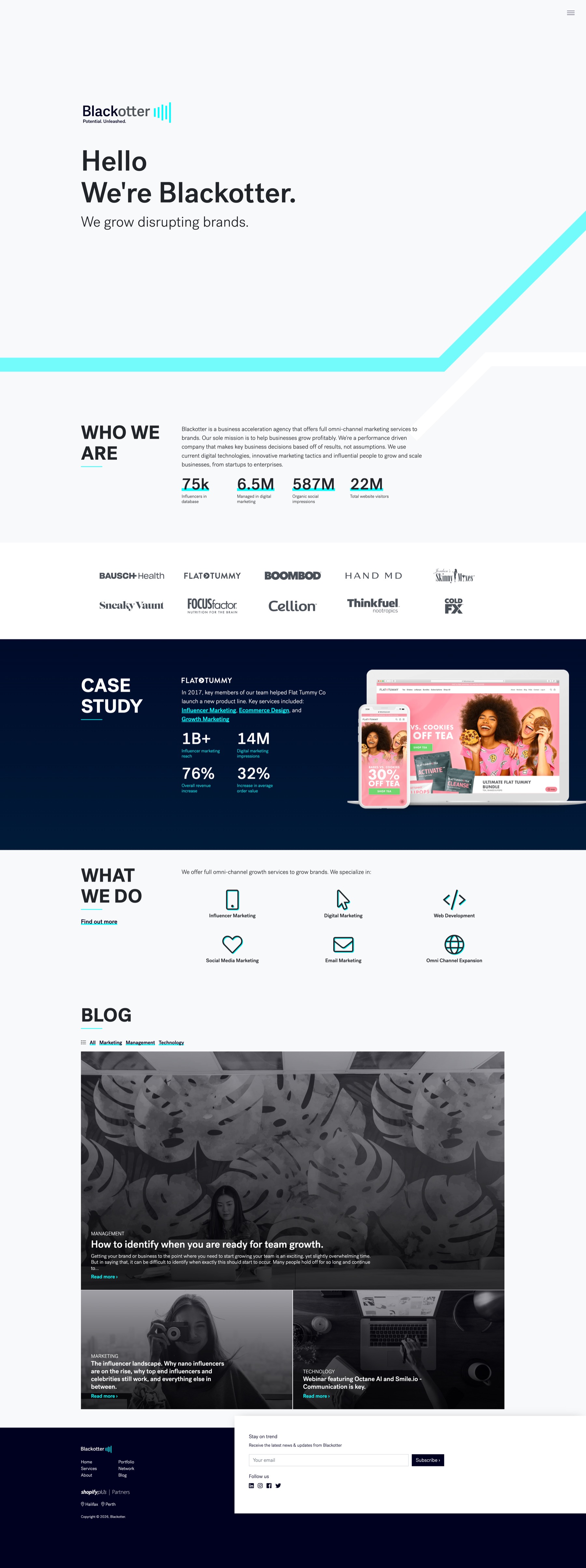 Blackotter homepage design and build on desktop